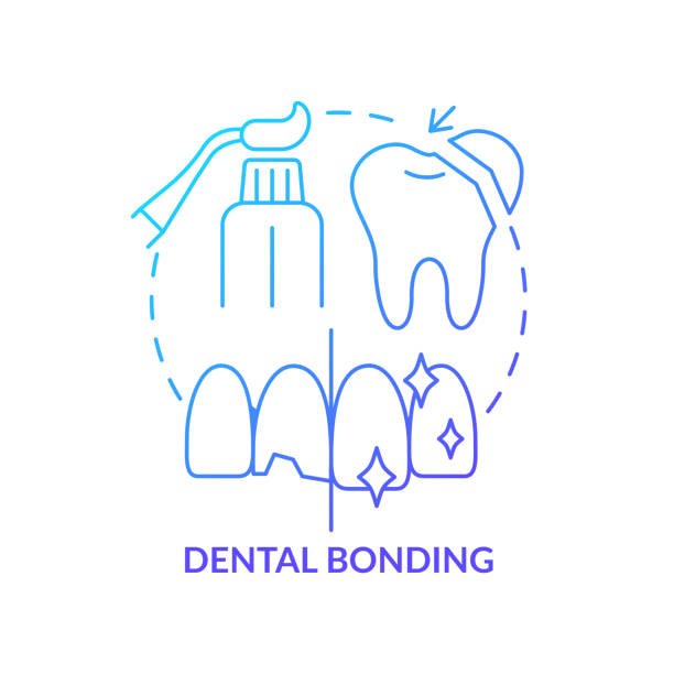 bonding teeth whitening miami best dentist straight teeth white teeth perfect teeth beautiful smile veneers smile design veneers